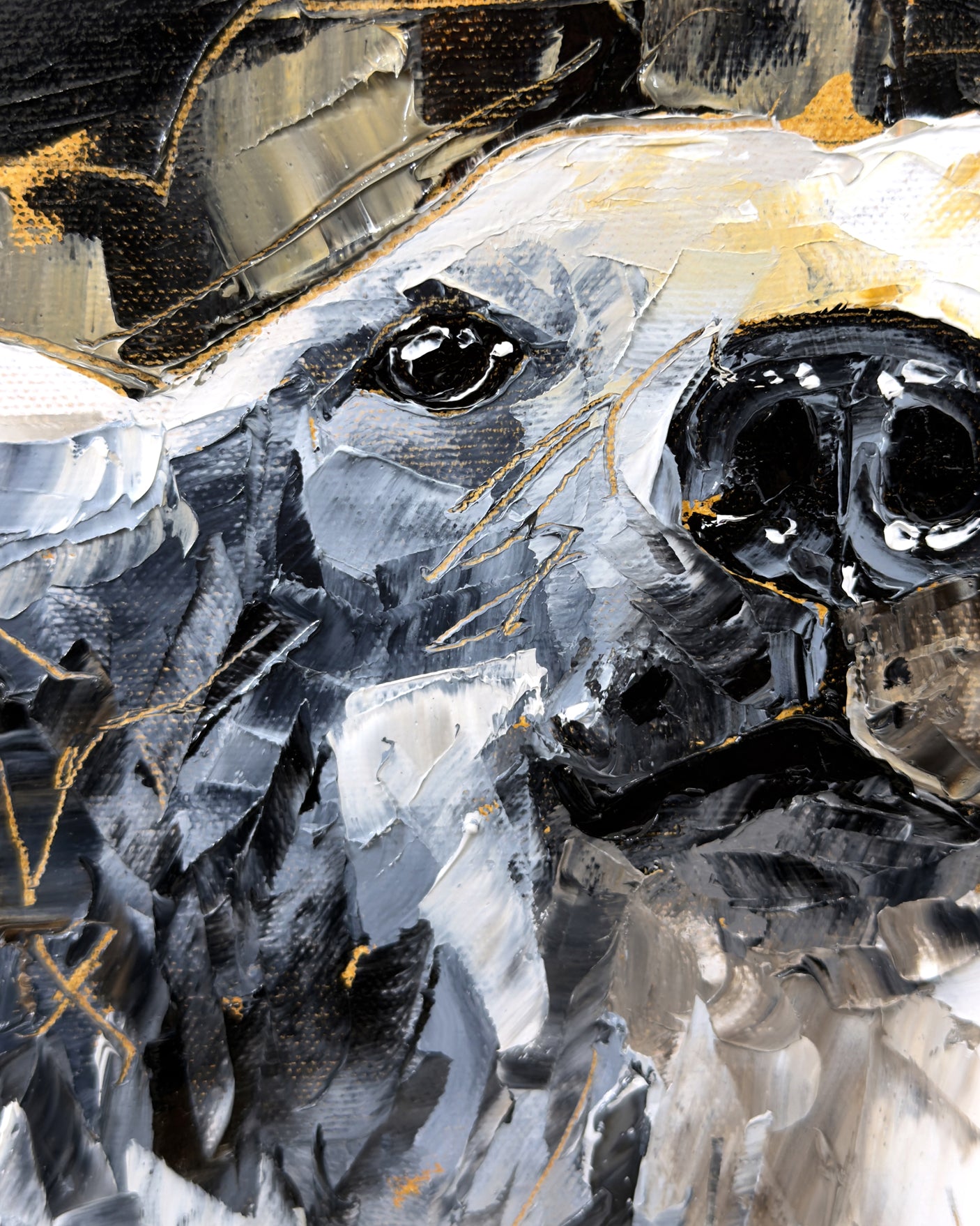 La naissance du froid