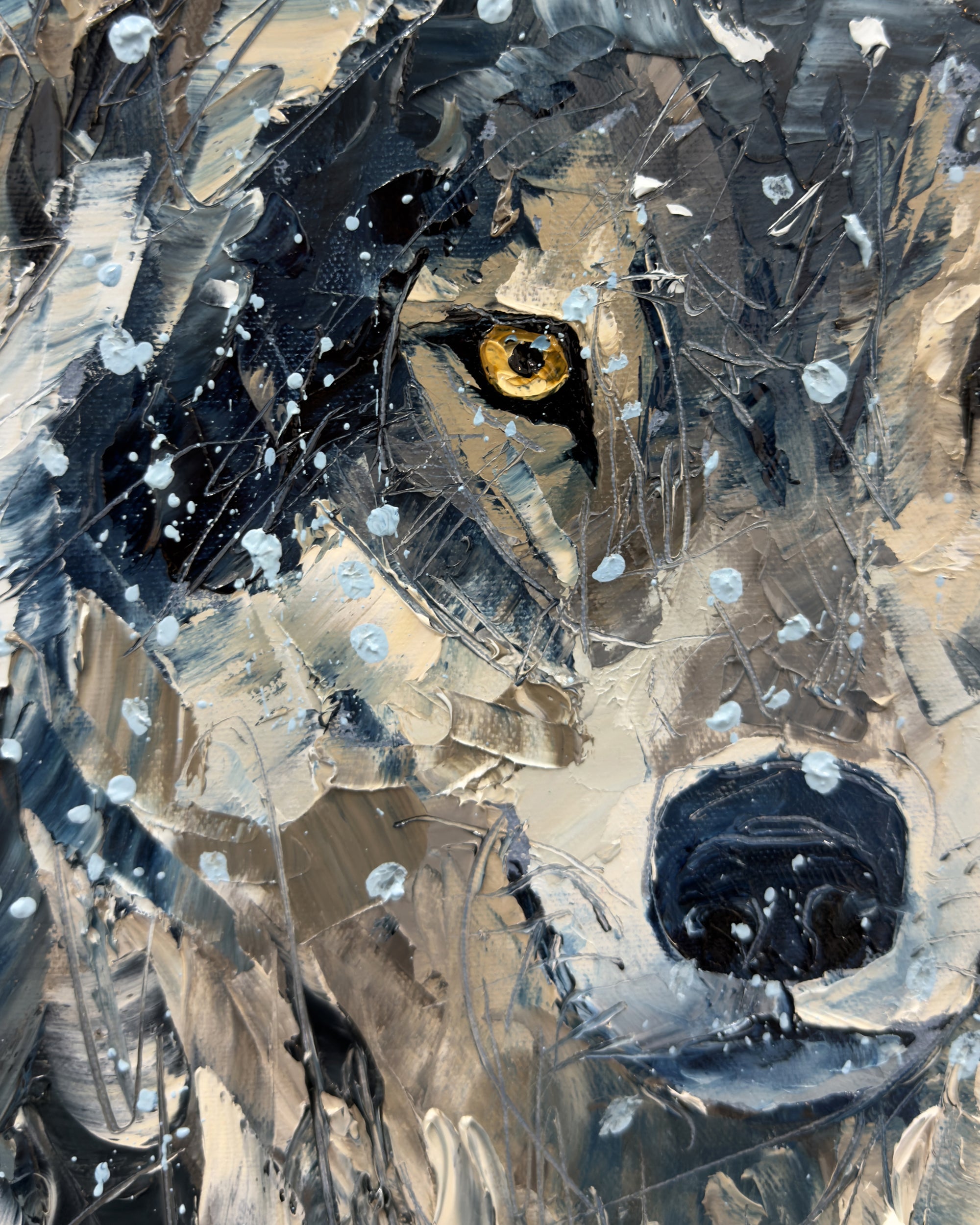 Sombre nuit d’hiver