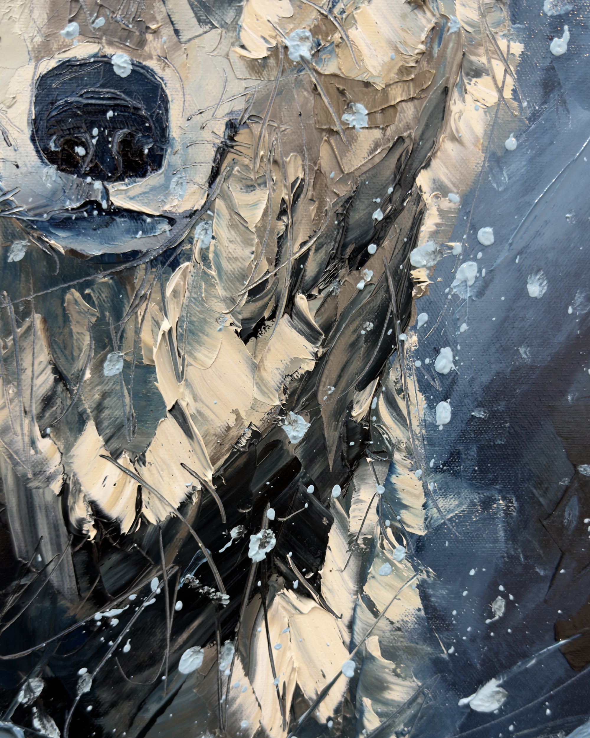 Sombre nuit d’hiver