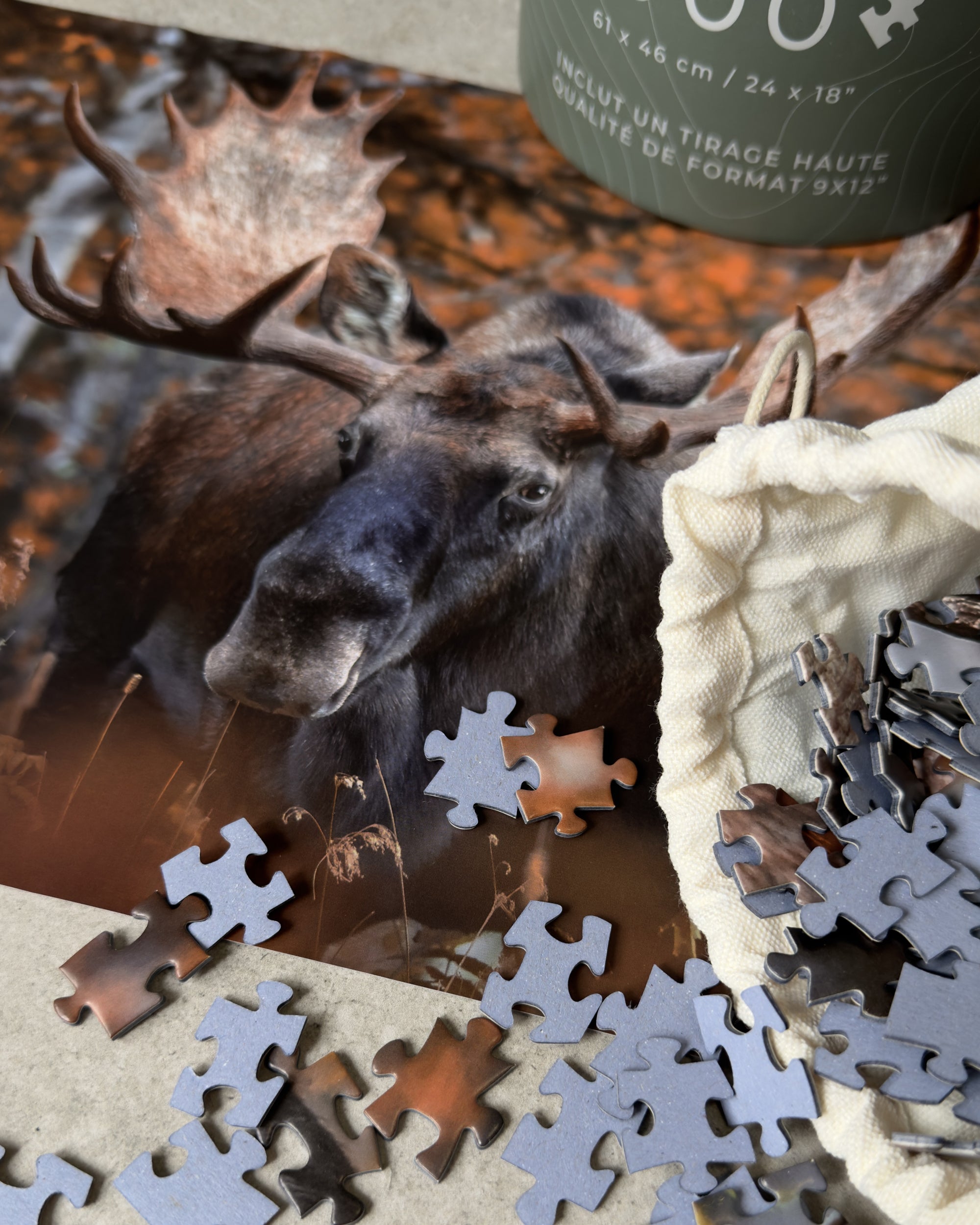 Casse-tête - Orignal