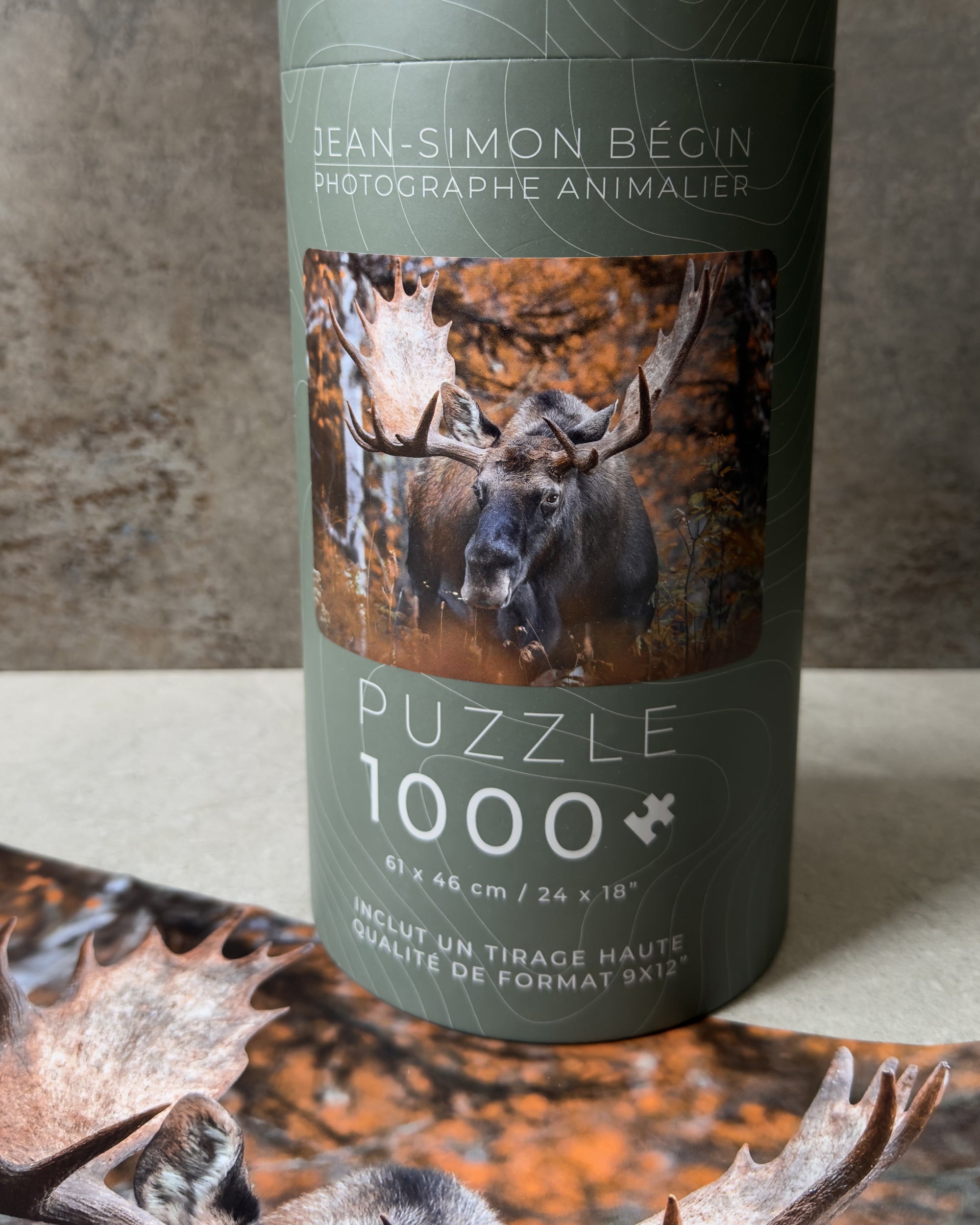 Casse-tête - Orignal