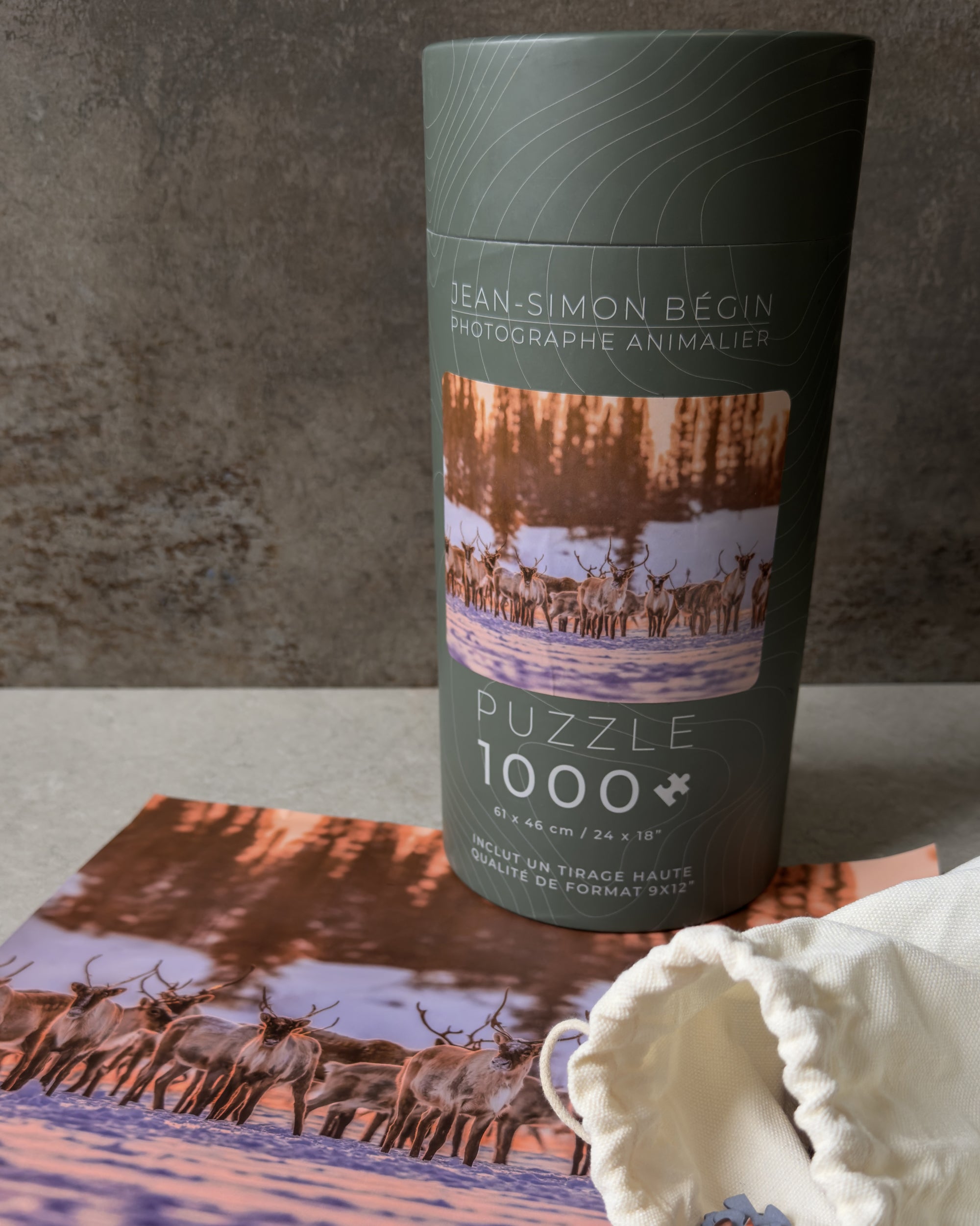 Casse-tête - Caribou hiver