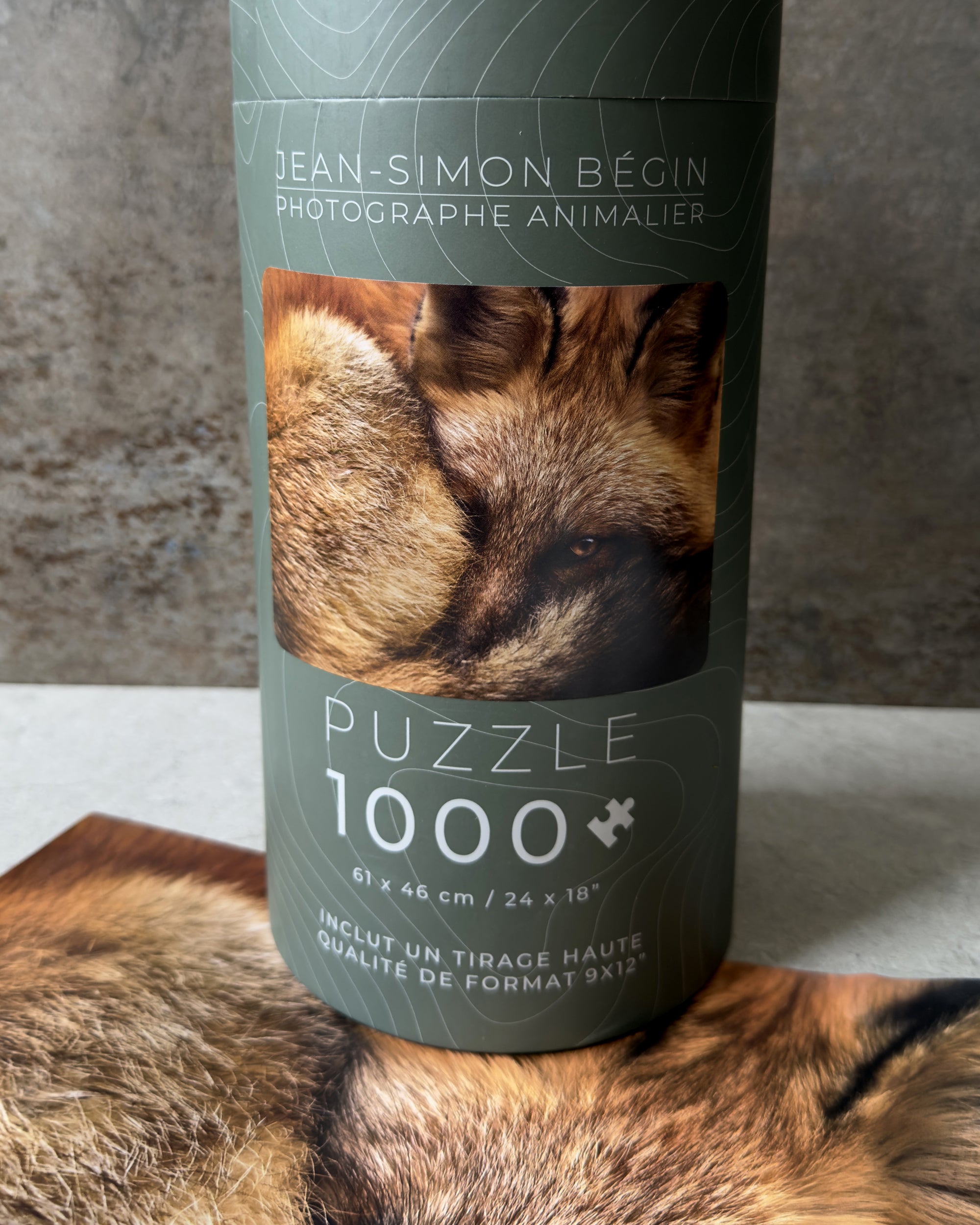 Casse-tête - Renard roux