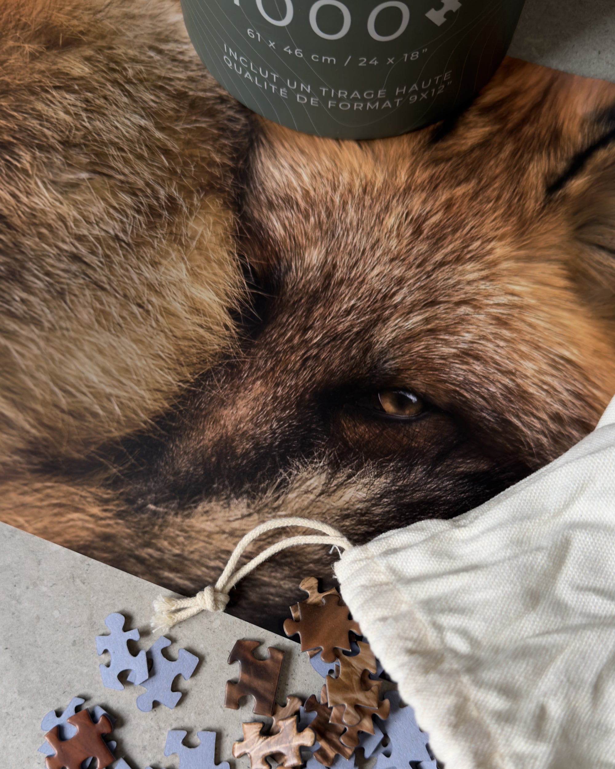 Casse-tête - Renard roux