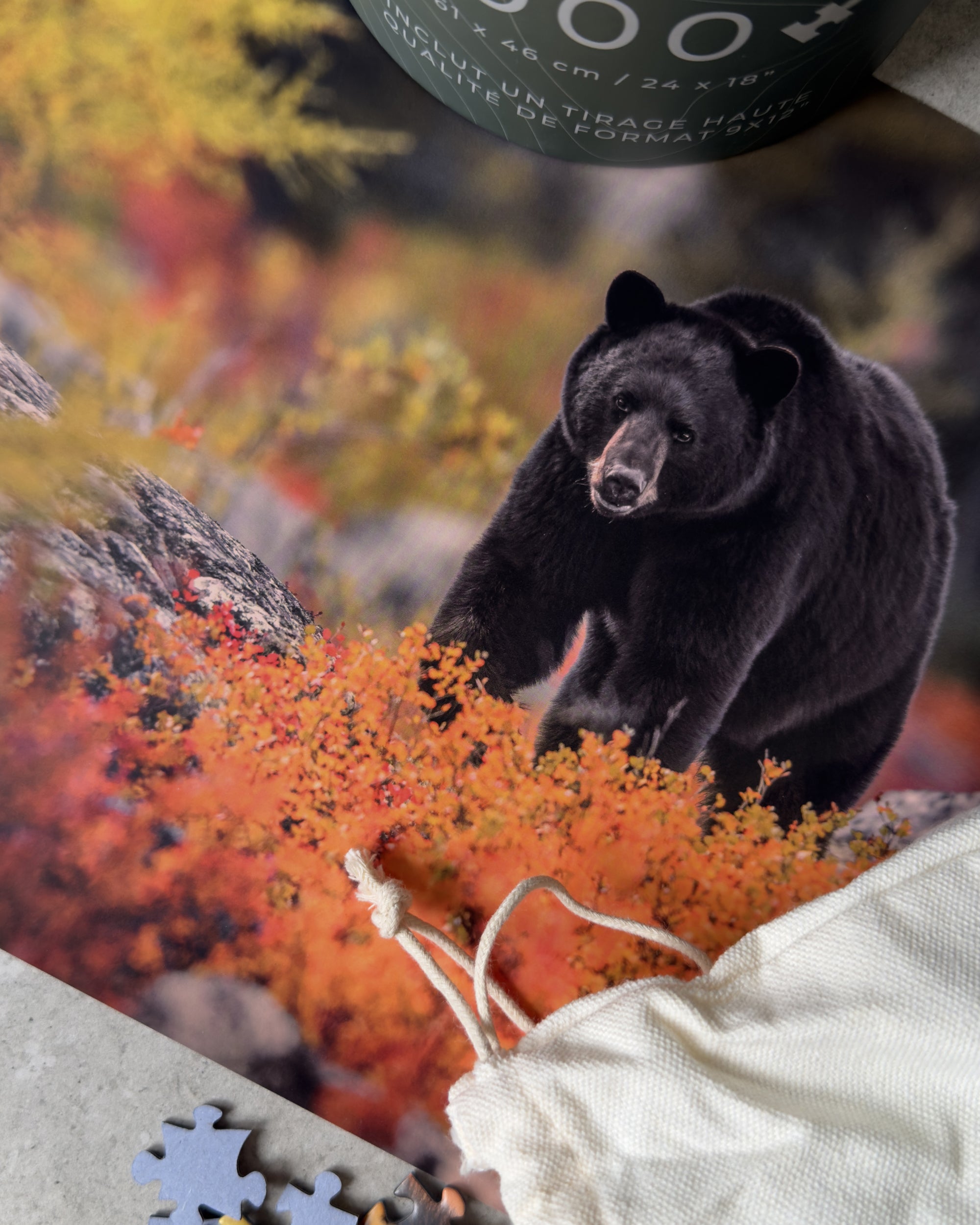 Casse-tête - Ours noir