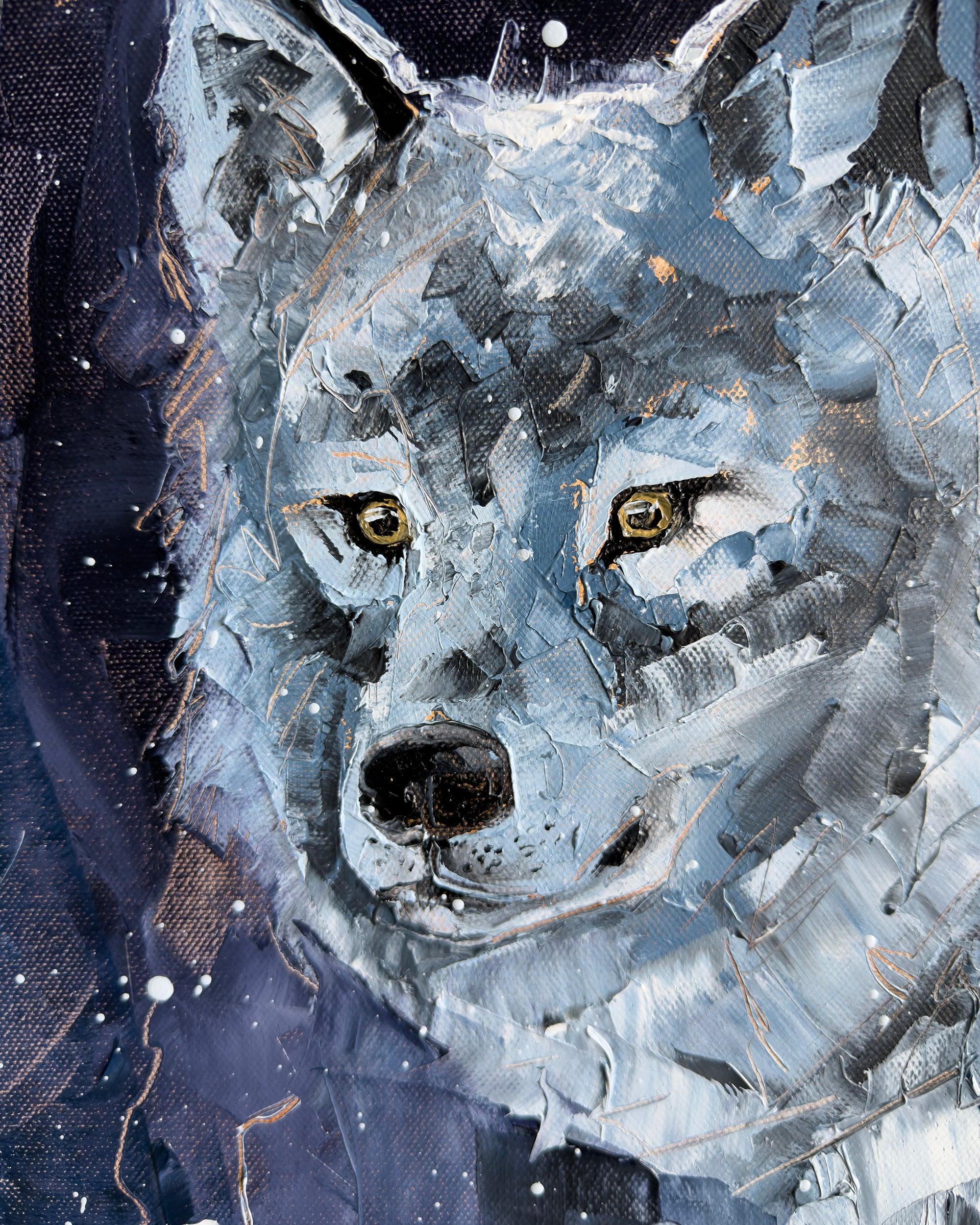 Nuit & neige