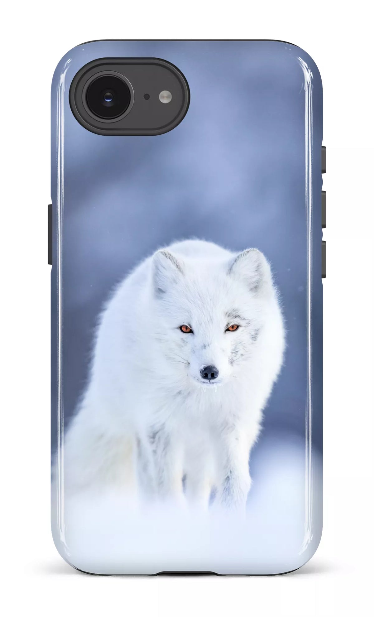 Arctique