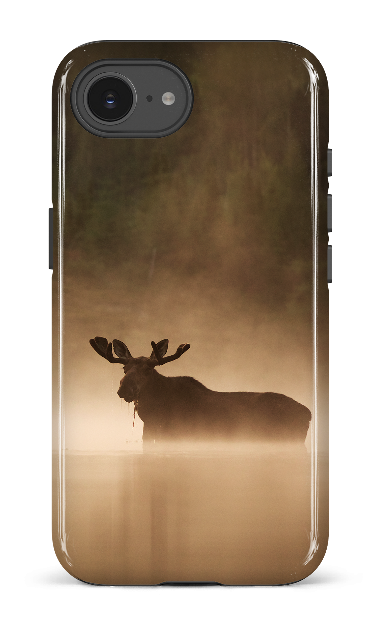 Brume et chaleur