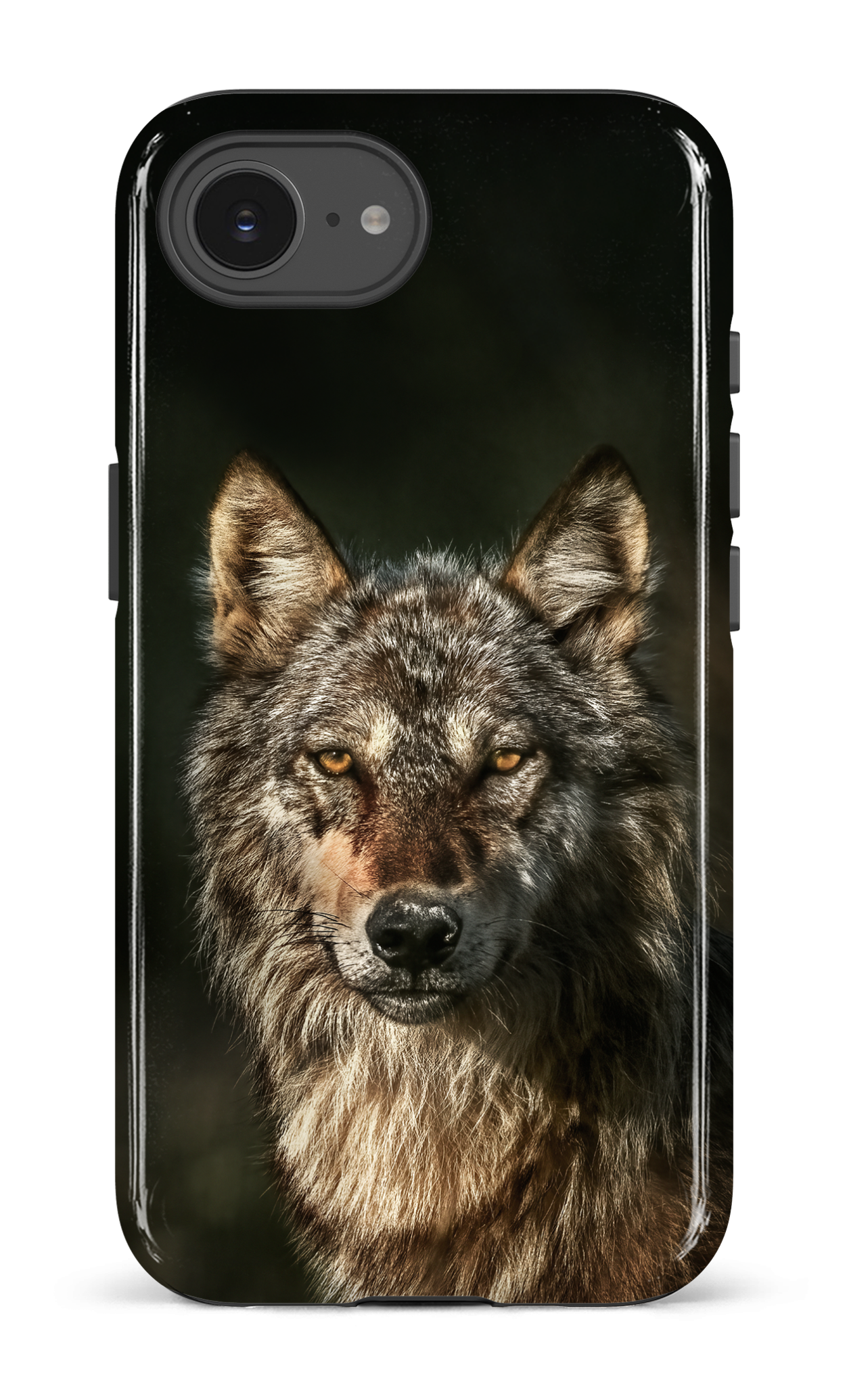 Loups