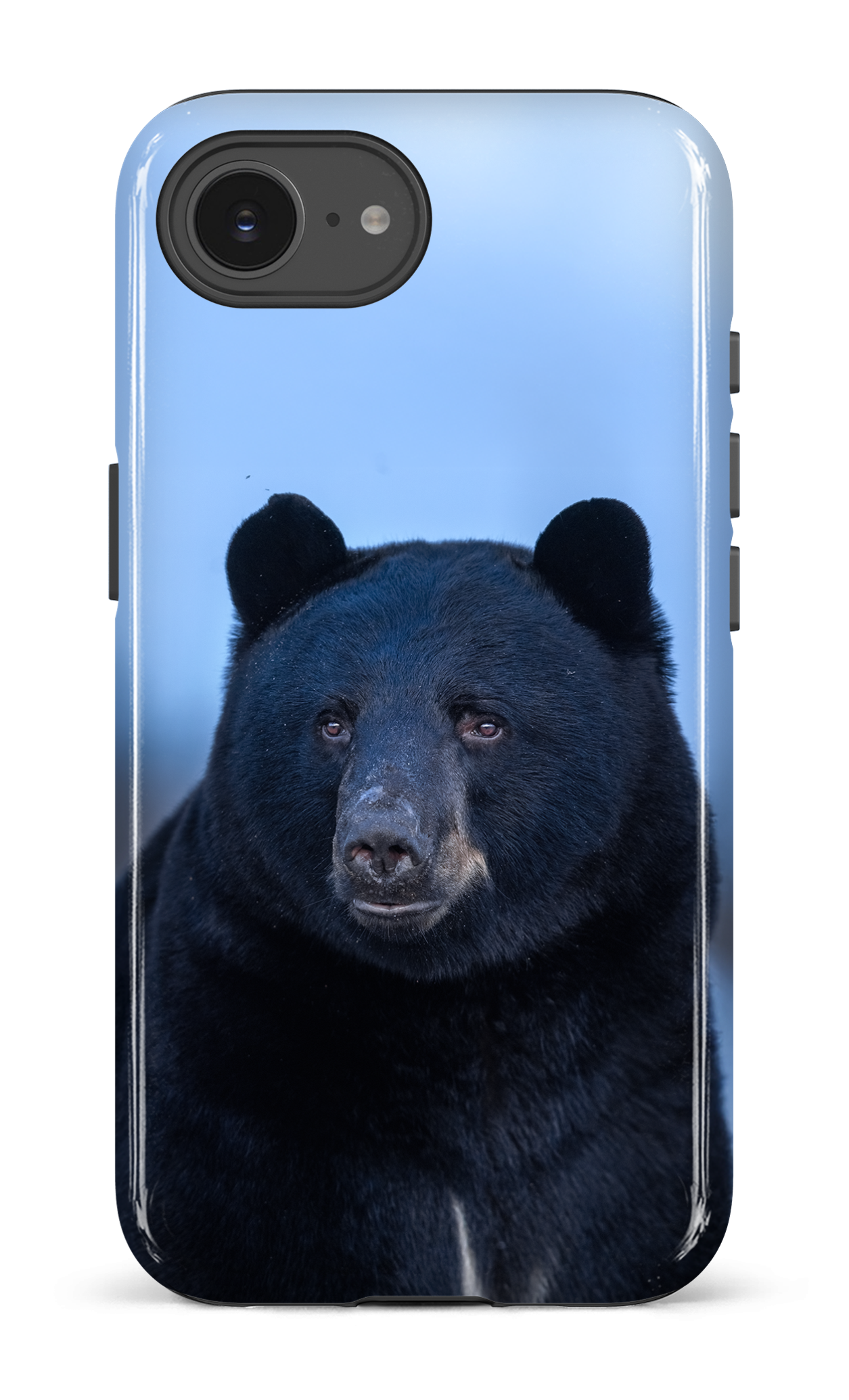 Ours bleu