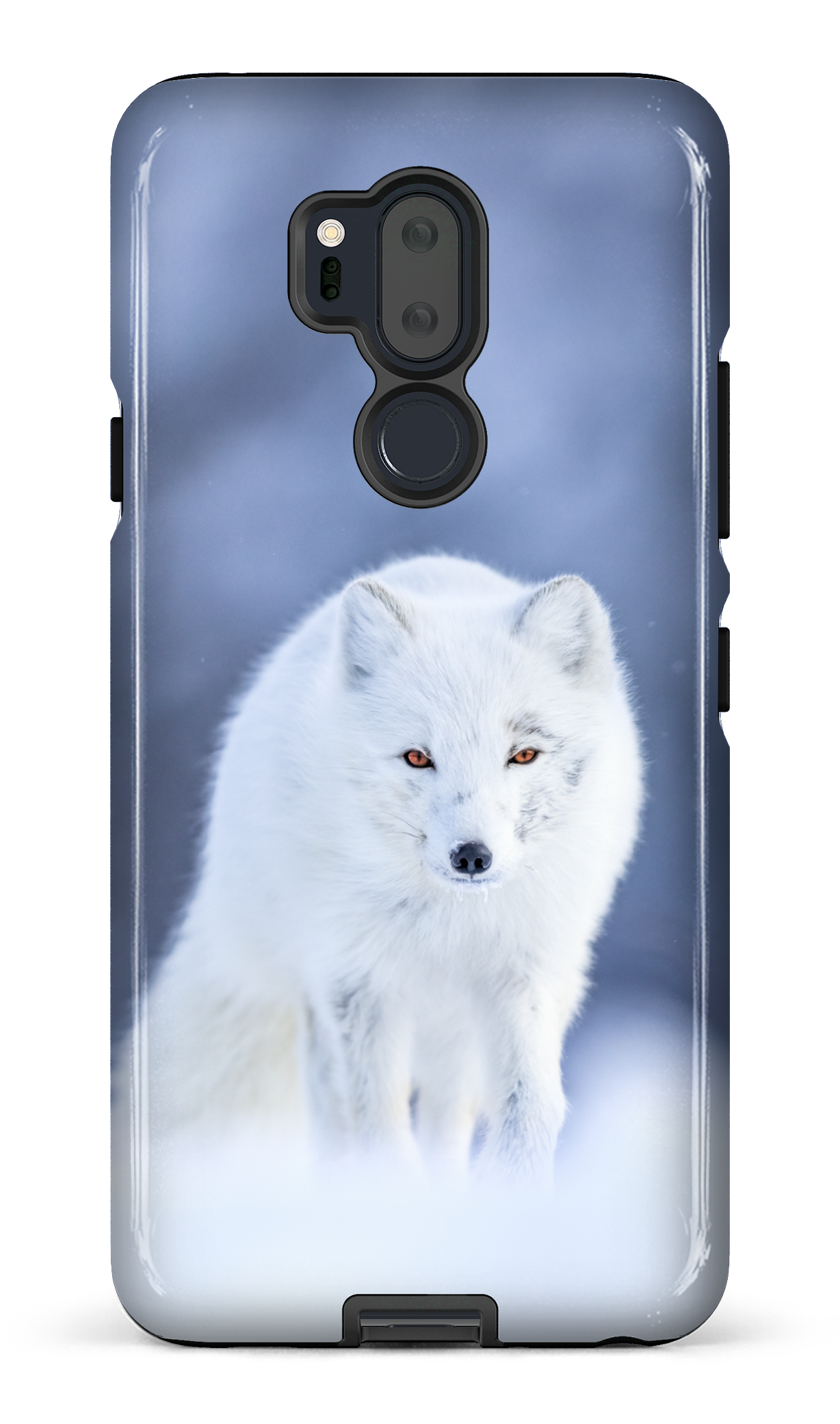 Arctique