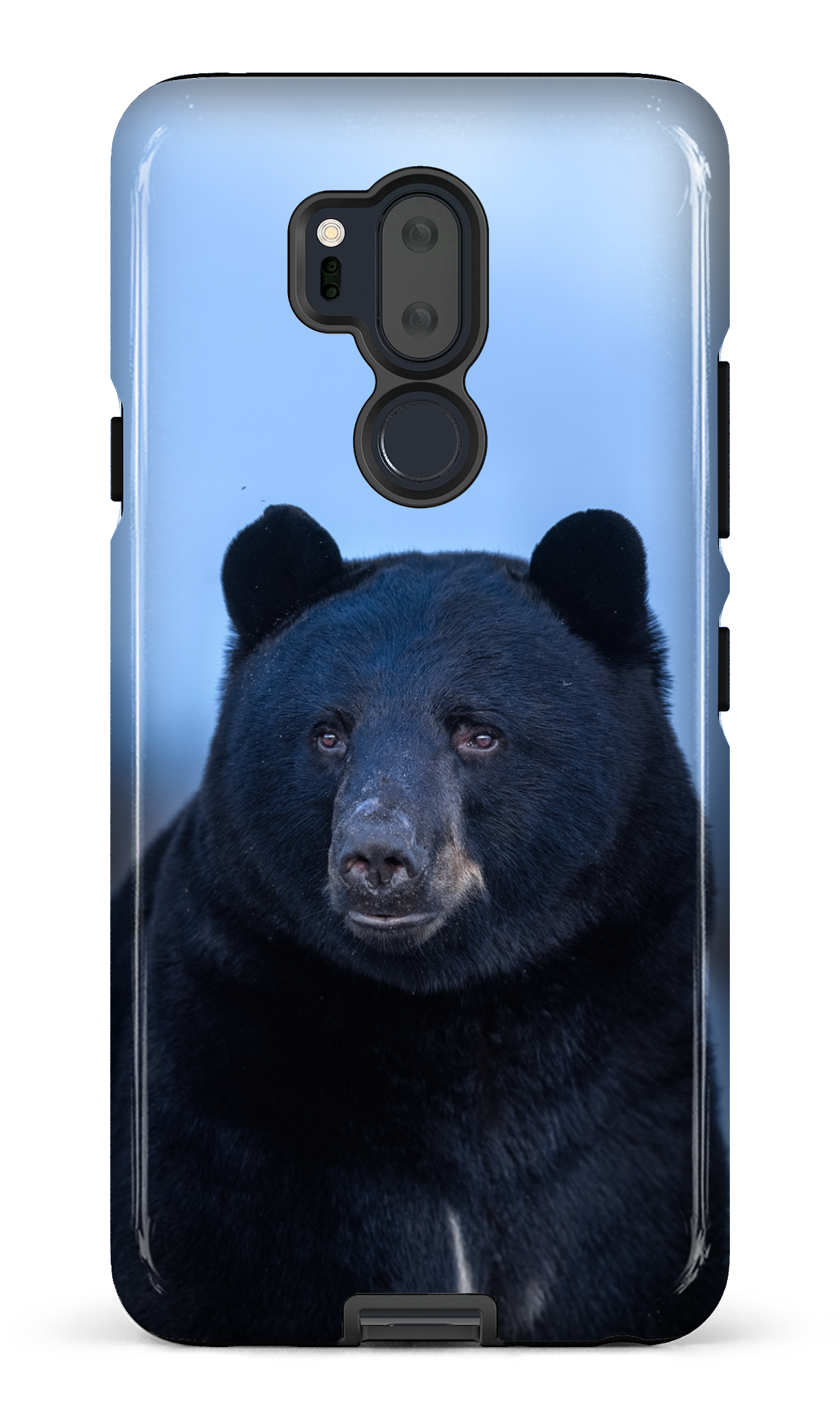 Ours bleu
