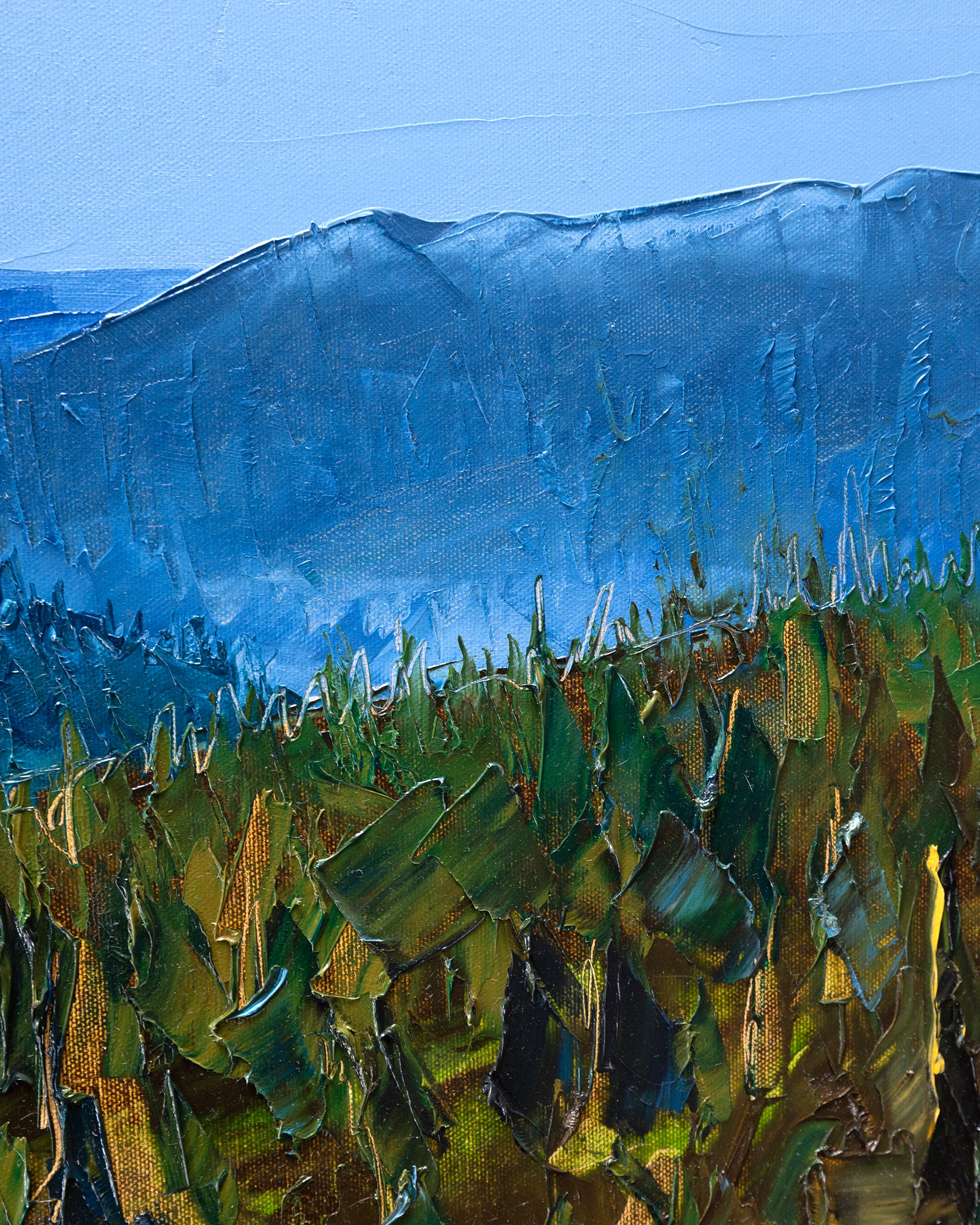 Été en montagne