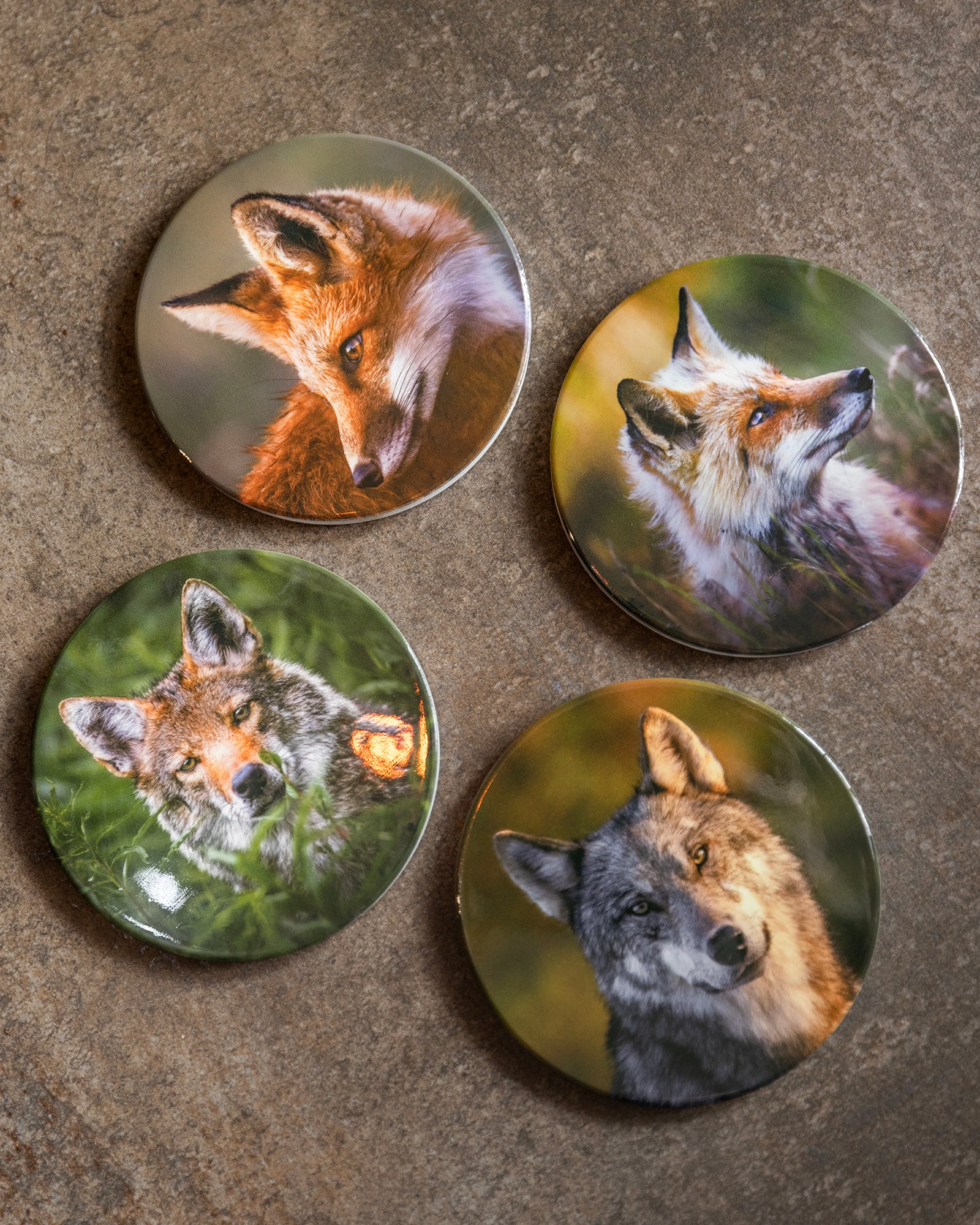 Sous-verres en céramique – Les canidés du Québec
