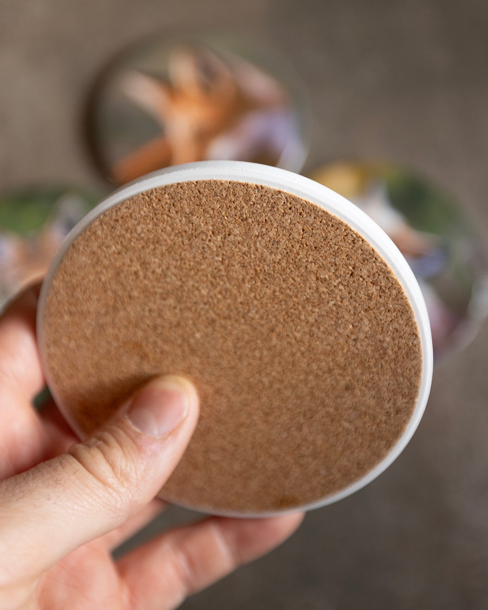 Sous-verres en céramique – Les canidés du Québec