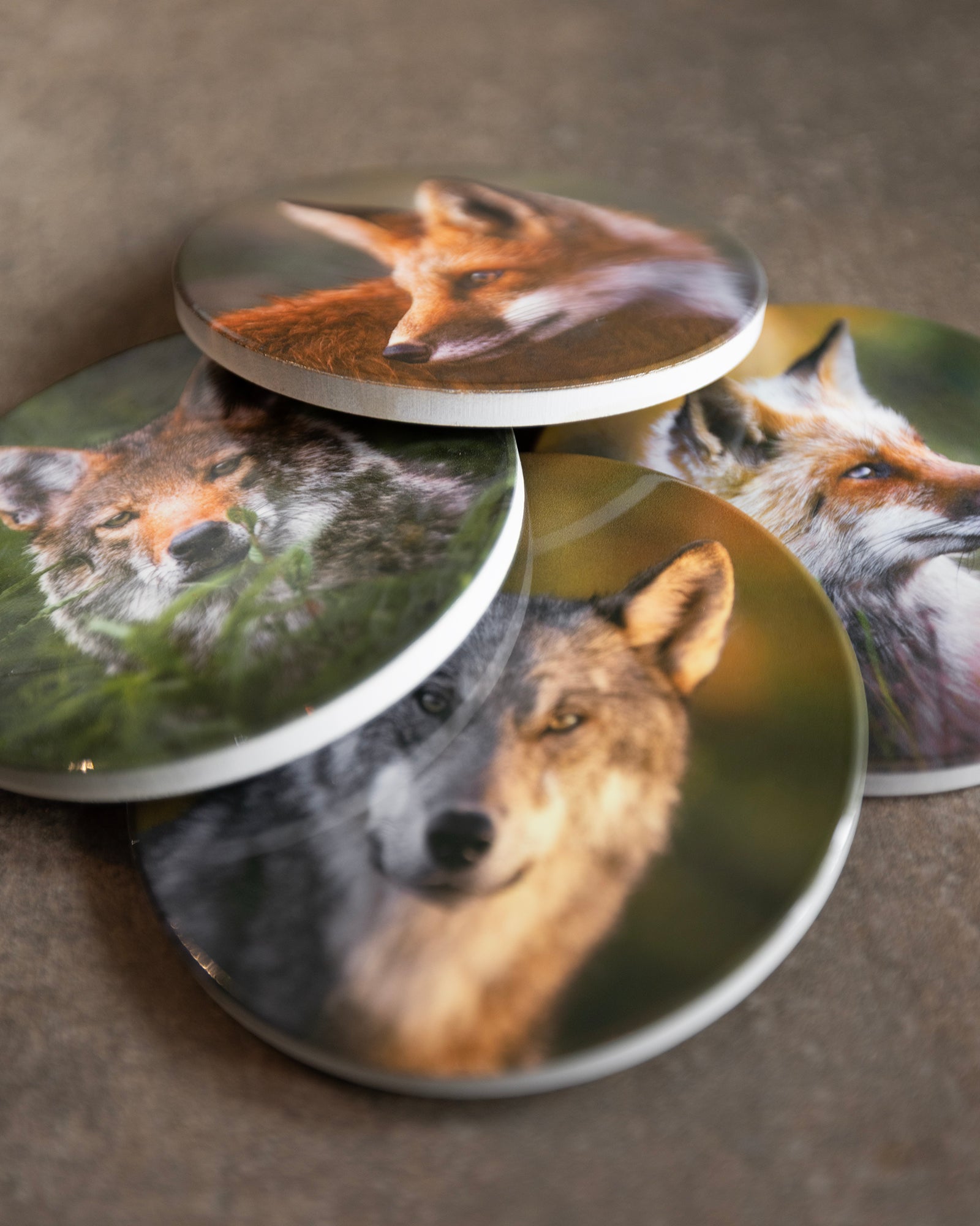 Sous-verres en céramique – Les canidés du Québec