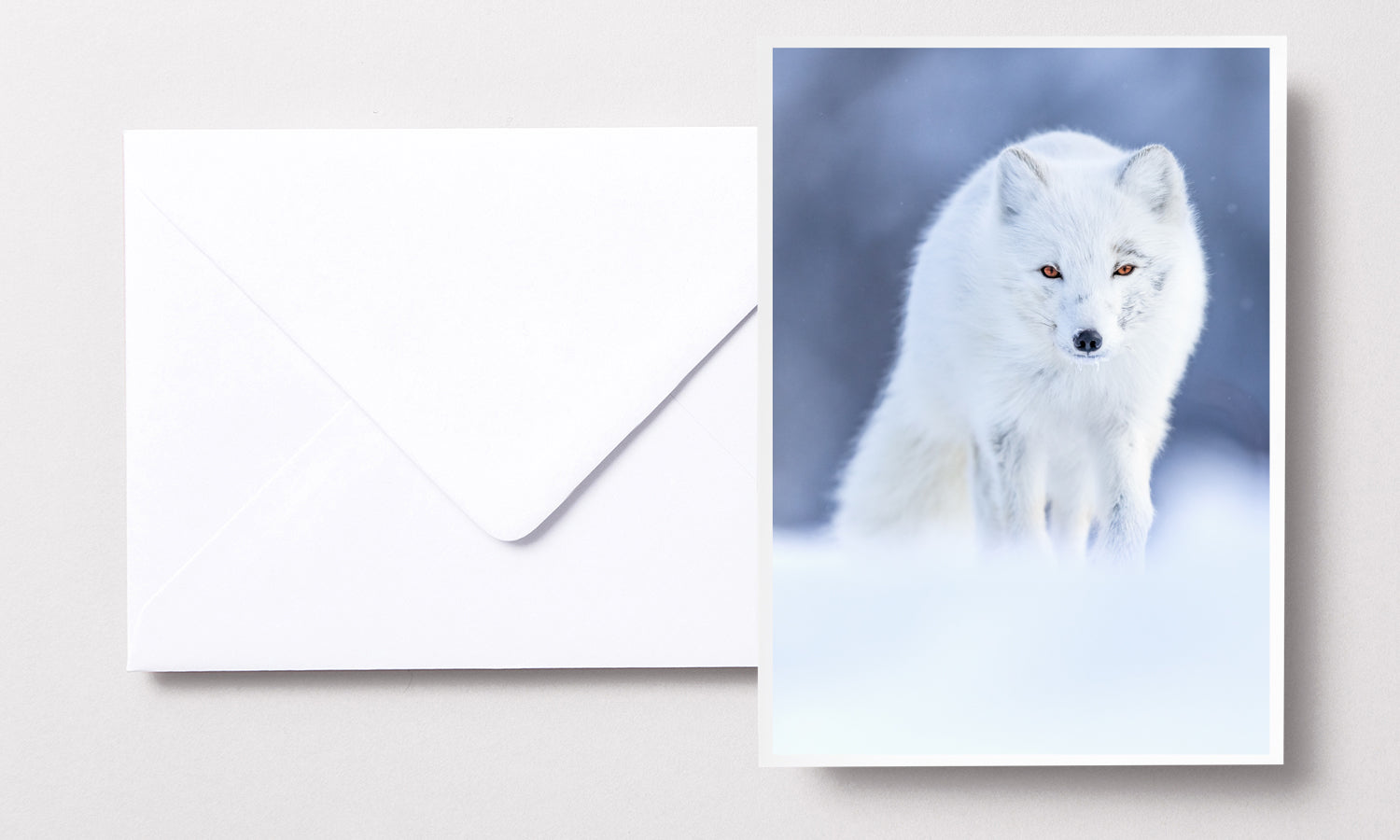 Cartes de souhaite - Renard Arctique