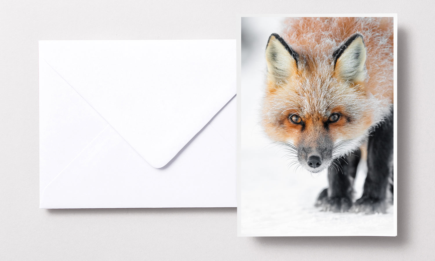 Cartes de souhaits - Renard roux hiver