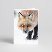 Cartes de souhaits - Renard roux hiver