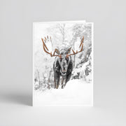 Cartes de souhaits - Orignal I