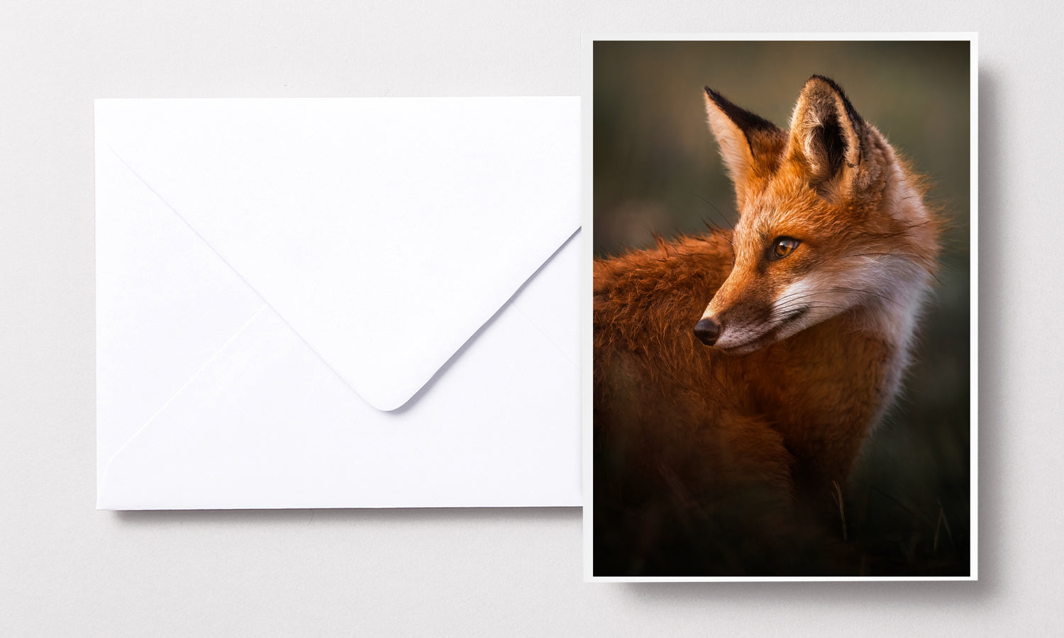 Cartes de souhaits - Renard roux été