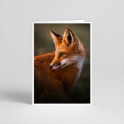 Cartes de souhaits - Renard roux été