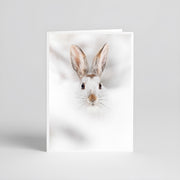 Cartes de souhaits - Lièvre