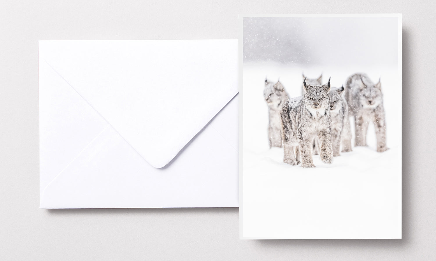 Cartes de souhaits - Lynx famille