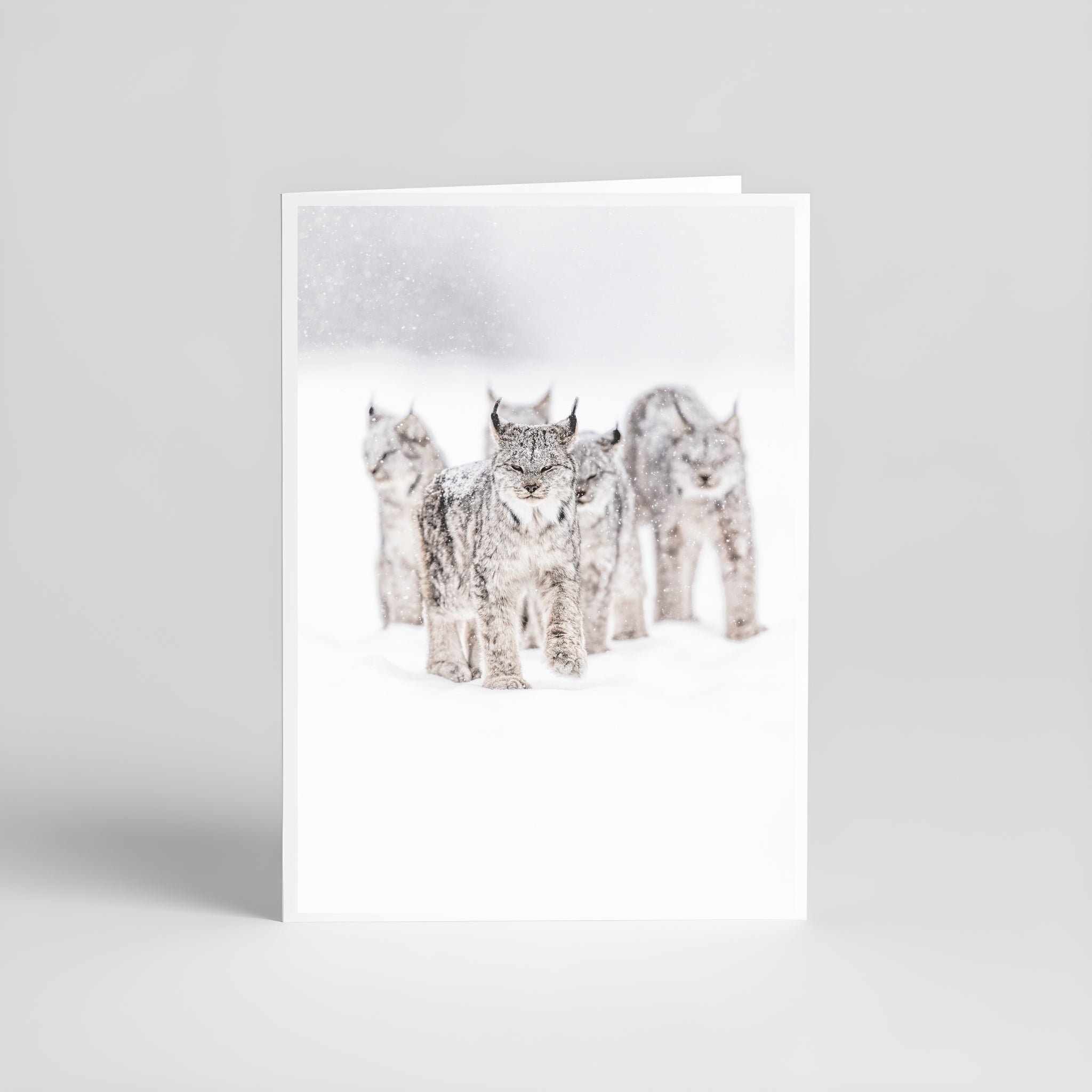 Cartes de souhaits - Lynx famille