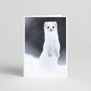 Cartes de souhaits - Hermine