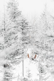 Orignal - Hiver 003