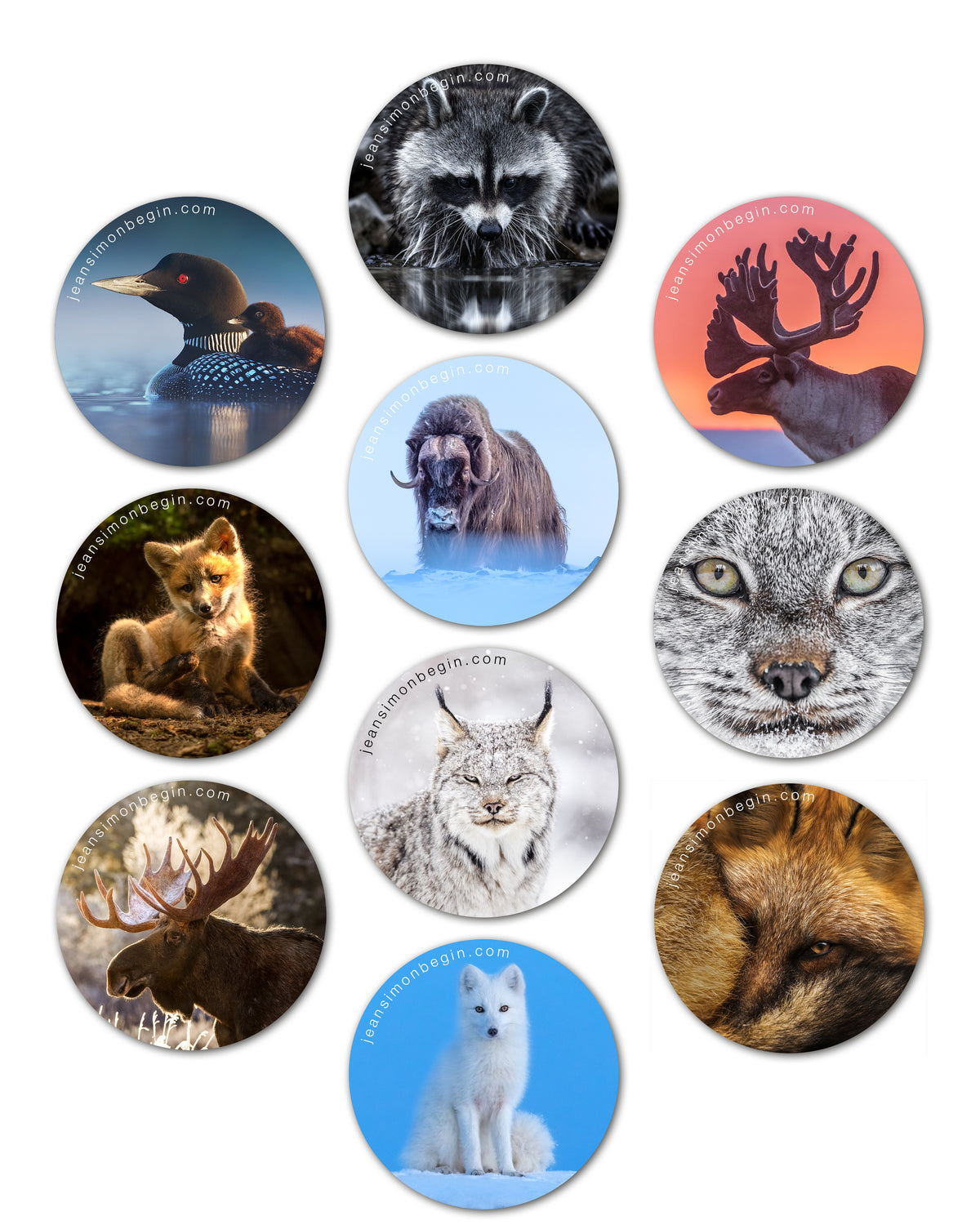 Autocollant - Paquet de 10 - #1