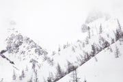 Quebec Landscape - Winter 007