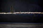 Quebec Landscape - Winter 013