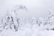 Quebec Landscape - Winter 046