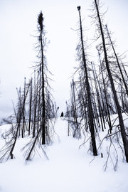 Quebec Landscape - Winter 053