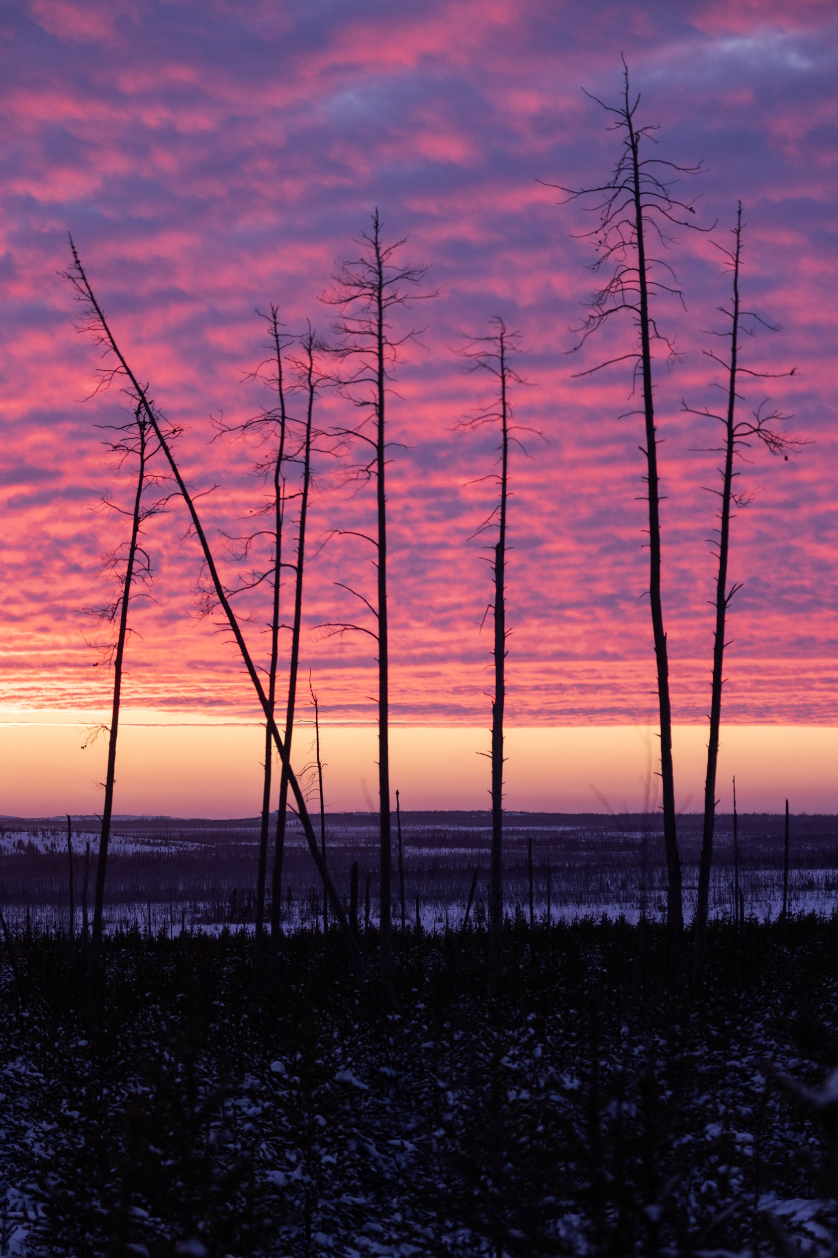 Quebec Landscape - Winter 066
