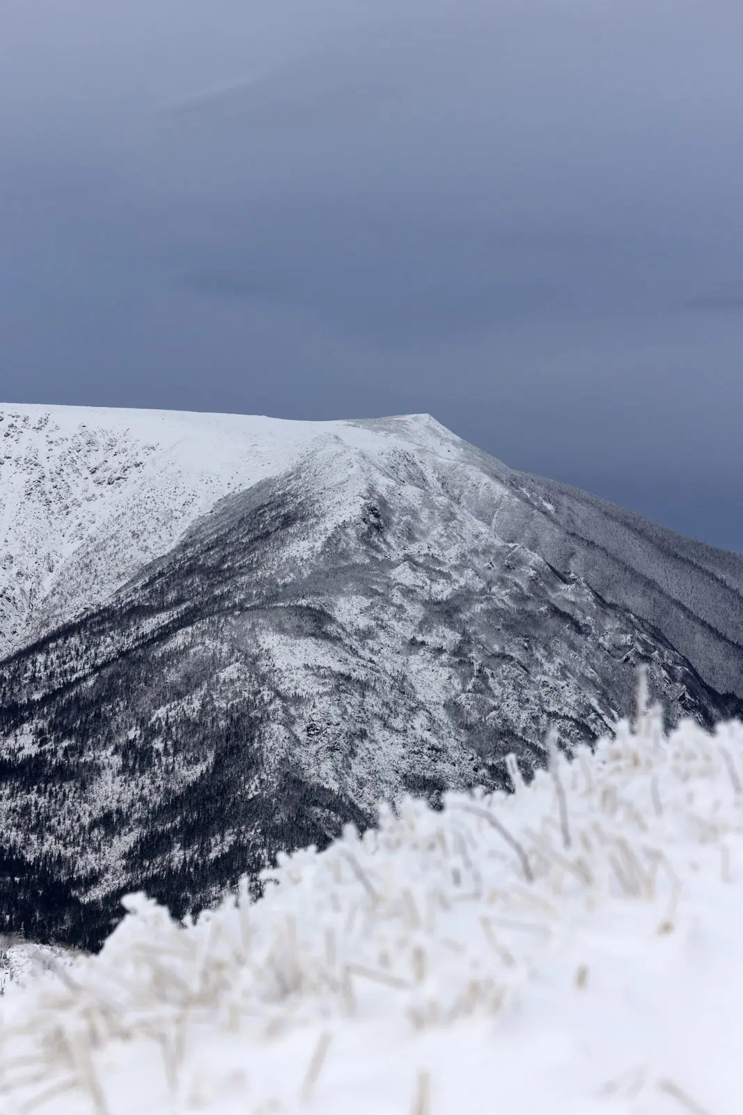 Paysage du Québec - Hiver 079 - Jean-Simon Bégin - Photographe Animalier et Artiste Peintre