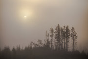 Quebec Landscape - Summer 004
