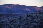 Quebec Landscape - Summer 005