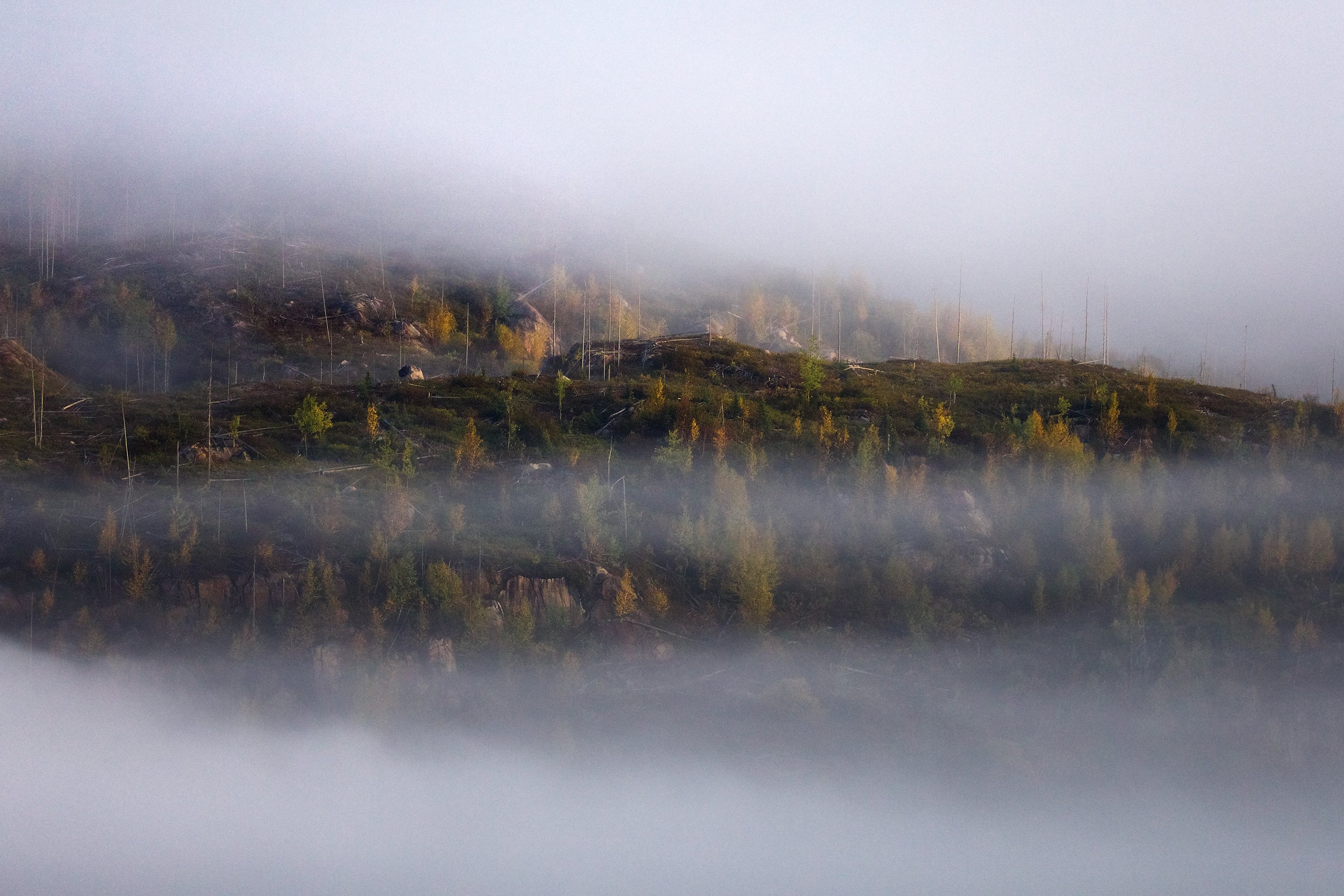 Quebec Landscape - Summer 014