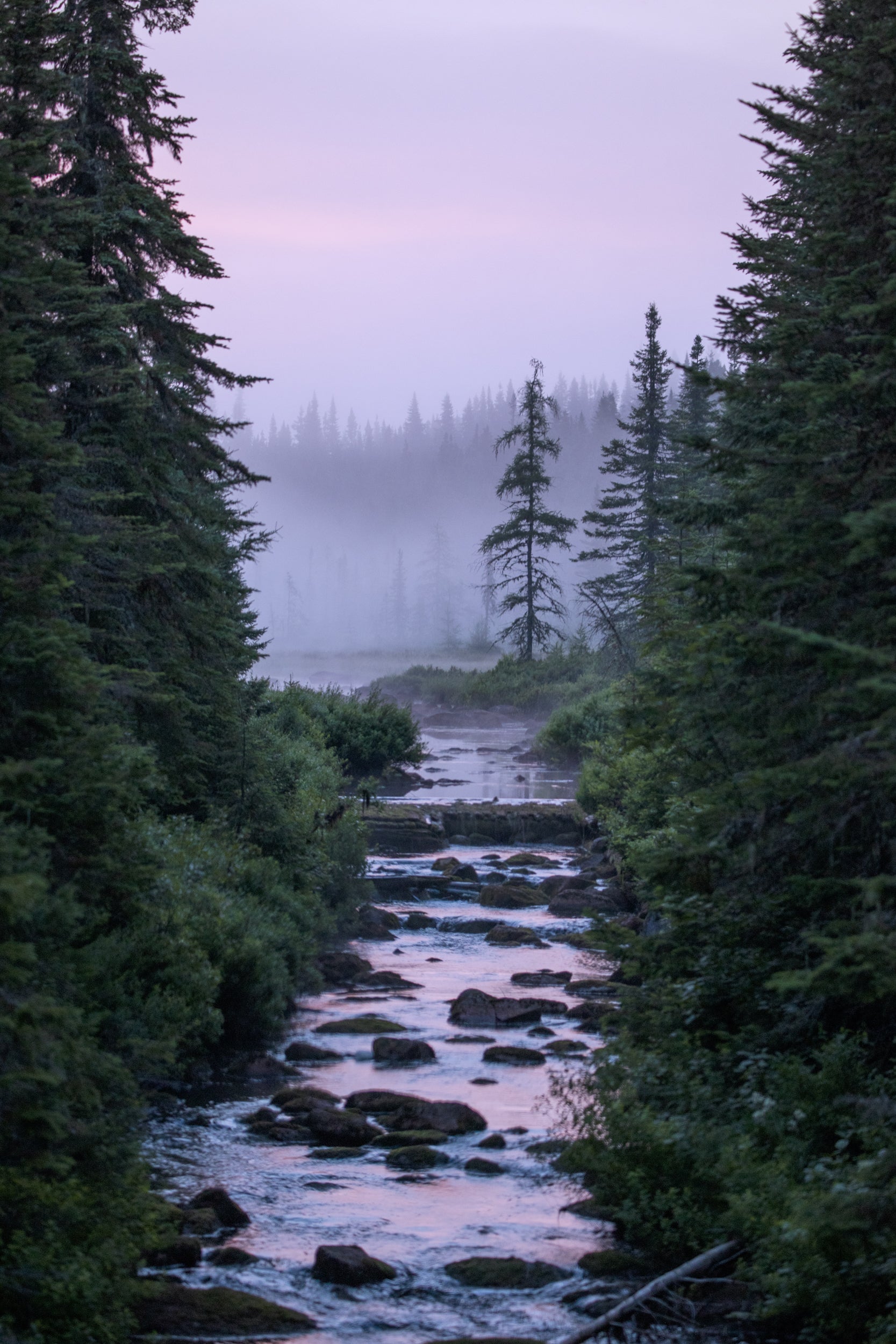 Quebec Landscape - Summer 015