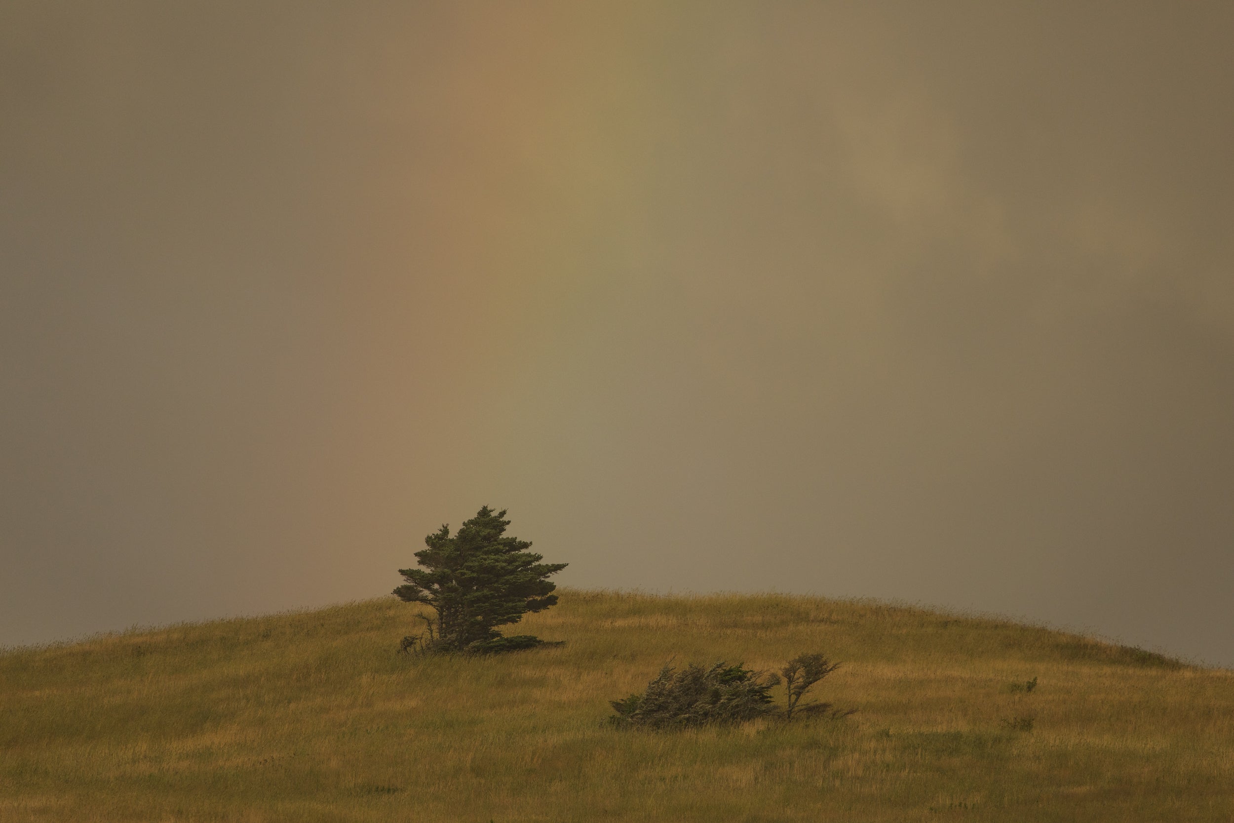 Quebec Landscape - Summer 070