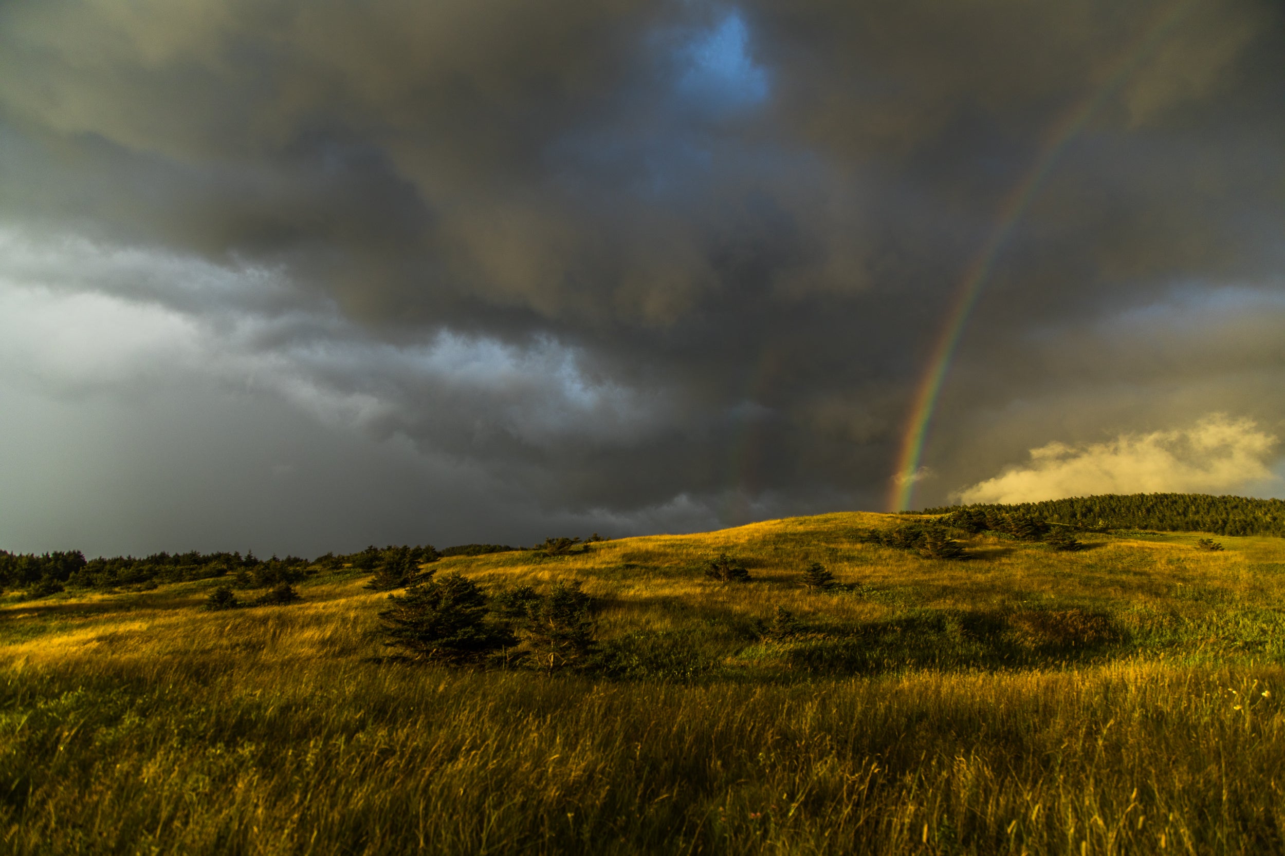 Quebec Landscape - Summer 071