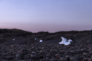 Nunavik Landscape - Summer 149
