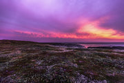 Nunavik Landscape - Summer 1582