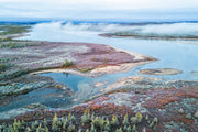 Nunavik Landscape - Summer 1597