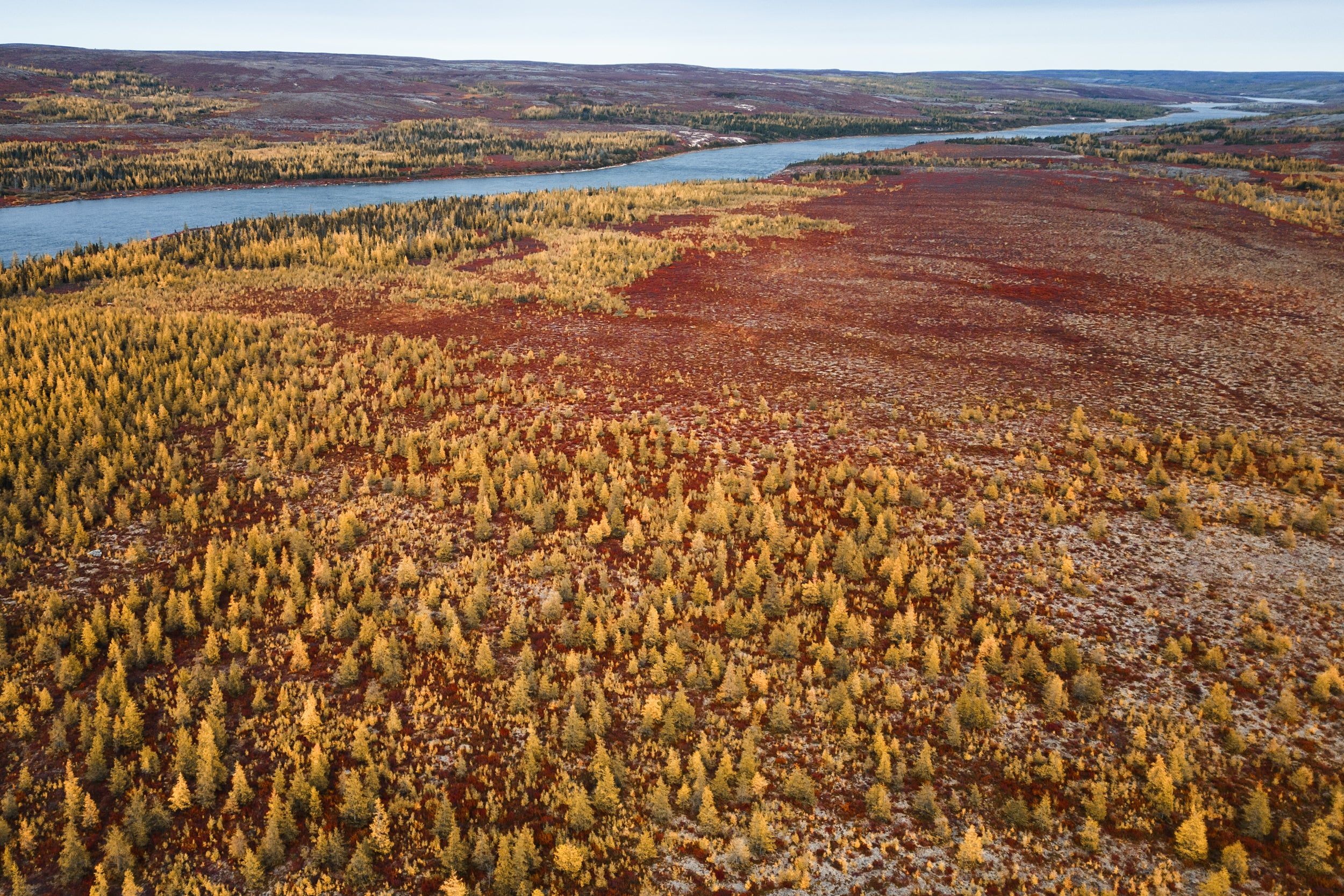 Nunavik Landscape - Summer 1601