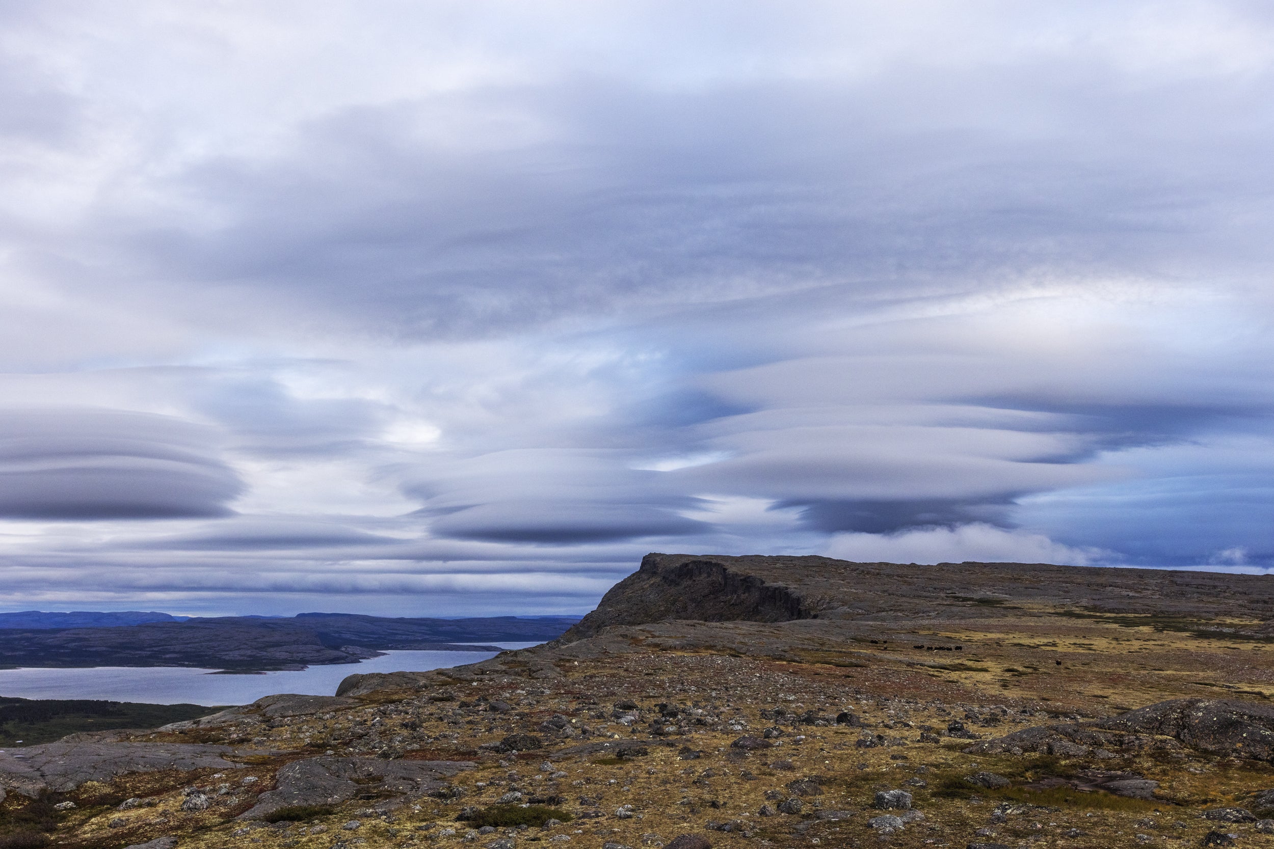 Nunavik Landscape - Summer 065
