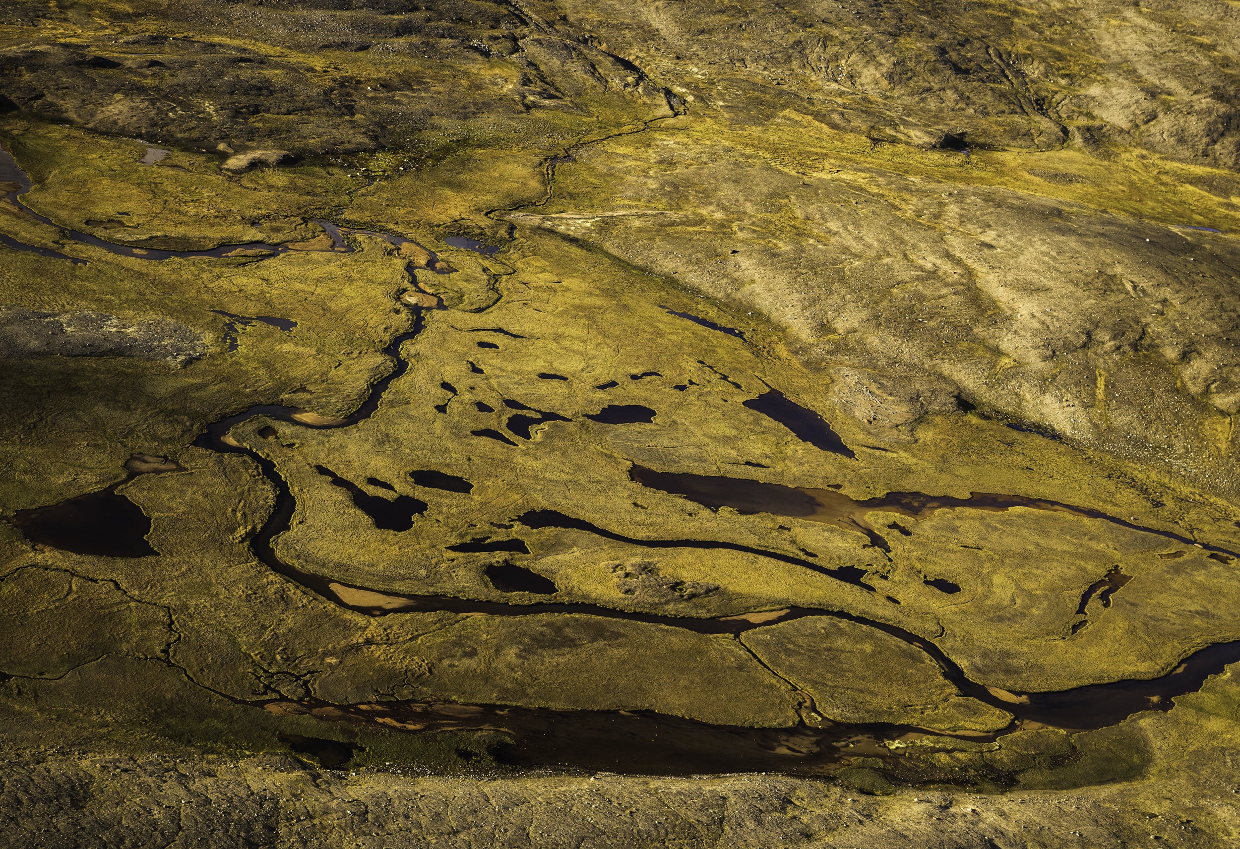 Nunavik Landscape - Summer 072